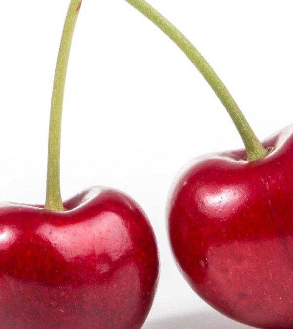 shop29-product-15-3 Product Image