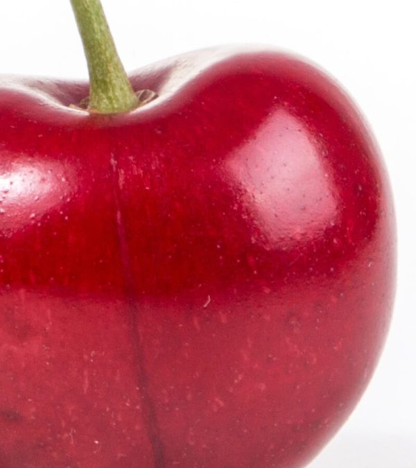 shop29-product-15-4 Product Image