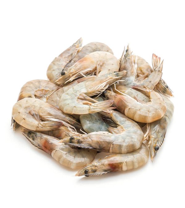 shop29-product-19-3 Product Image