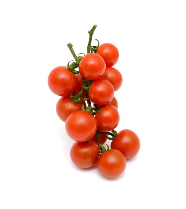 shop29-product-3-2 Product Image