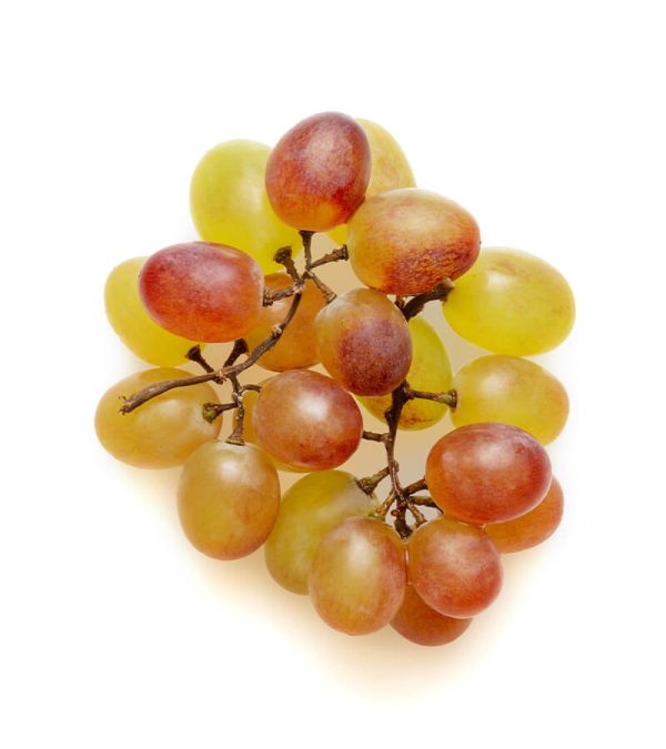 shop29-product-6-1 Product Image