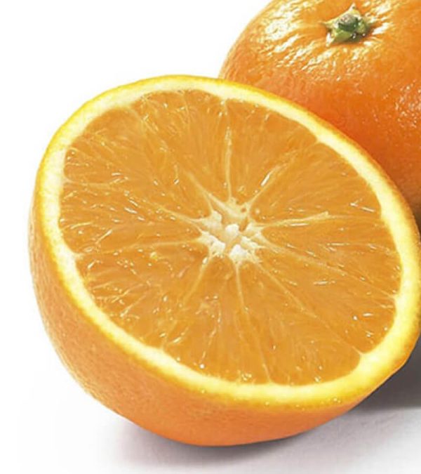 shop29-product-8-3 Product Image