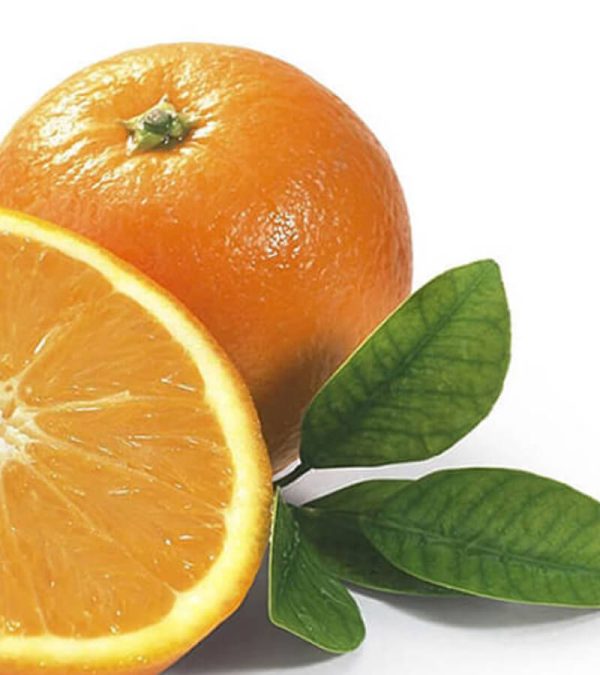 shop29-product-8-4 Product Image